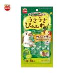 FRUITS AND GREEN JUICE FLAVOUR PUREE FOR RABBITS 50g ML564