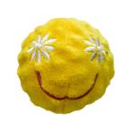 SUNNY DAZE SPIKE BALL SURPRISE (6x6x6cm) IDS0WB31507