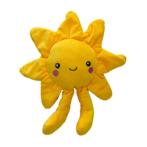 SUNNY DAZE PLUSH SUN (20x18x5cm) IDS0WB31516