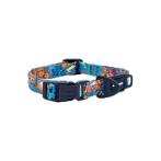 FUSION COLLAR - ELECTRIC TURQUOISE (SMALL) (20-31cm) RG0HB101SHF