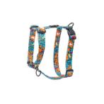 FUSION HARNESS - ELECTRIC TURQUOISE (SMALL) (23-37cm) RG0SJ101SHF