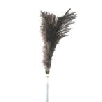 RETRACTABLE CAT TEASER-OSTRICH FEATHER(BLACK)(45cm) BWAT3946