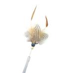 RETRACTABLE CAT TEASER- BLACK STRIPE (45cm) BWAT3947