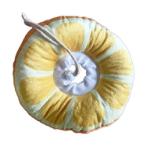 SOFT ELIZABETHAN COLLAR - ORANGE (ORANGE) (MEDIUM) (26cm) JNPS200202ORNM