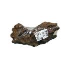 NATURE GOODS DRIFT WOOD - MEDIUM 25cm-35cm DW019A