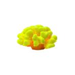 CORAL 13X12X8cm DECO1490Y