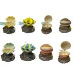 SHELL PEARL 5X5X5.5cm ASSORTED DESIGNS DECO208S4