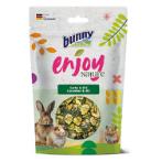 ENJOYNATURE CUCUMBER AND DILL 40g BN15531