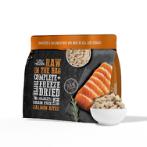 RAW IN THE BAG COMPLETE FREEZE DRIED SALMON BITES 14oz ARB9983