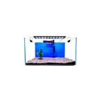 FISH TANK WITH LIGHT BLUE OYAMA NO COVER 44X24X23.2CM 5MM FT44X24X232CMLBLUE