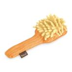 PLAY SPAW DAY - MINI GROOM & ZOOM SQUEAKER (DOG) (22x5.5x7.5cm) PLY0PYPB7102ASF