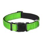 REFLECTIVE DOG COLLAR (GREEN) (EXTRA SMALL) (20-30cmx1.5cm) AIC0DC001XSGR