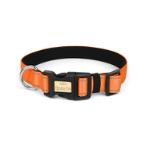 REFLECTIVE DOG COLLAR - PAWLUX NIGHTSTRIDE (ORANGE) (SMALL) (30-40cmx2cm) AIC0DC002SOR