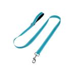 NYLON REFLECTIVE LEASH (BLUE) (180cmx2.5cm) AIC0L015LSB
