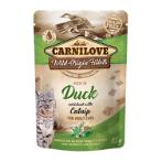 DUCK ENRICHED WITH CATNIP POUCH 85g 104100385
