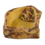 WATER DISH (SMALL) RCH0PT2801