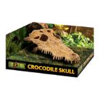 CROCODILE SKULL RCH0PT2856