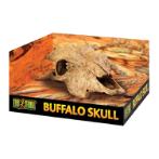 BUFFALO SKULL RCH0PT2857