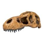 T-REX SKULL RCH0PT2859