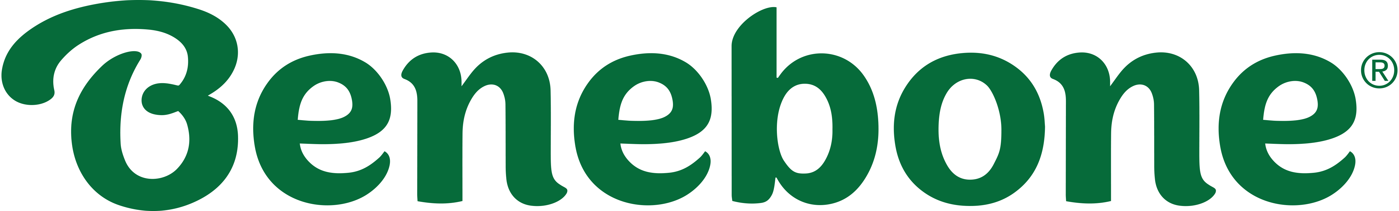 Benebone