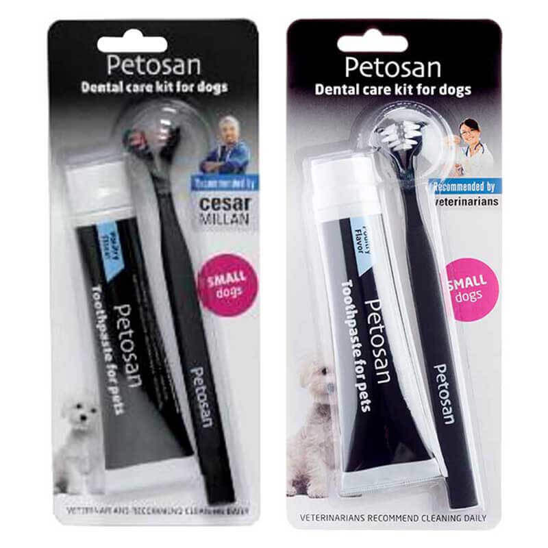 Petosan Dental Kit Toothpaste Toothbrush Medium Dental Care