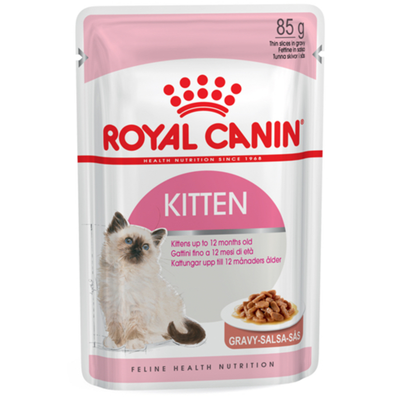 Kitten 36 on sale