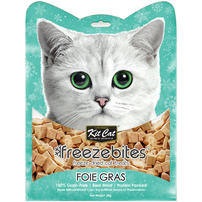 cats fish
