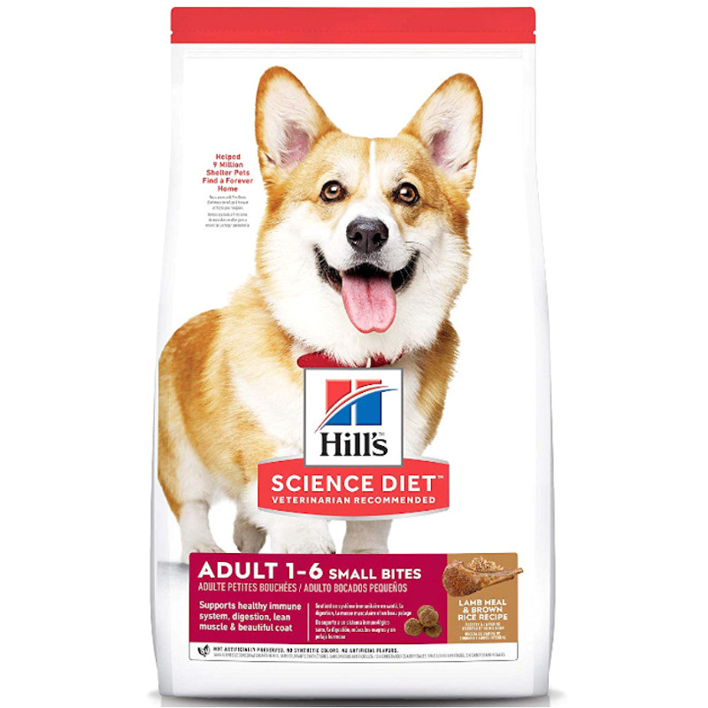 Science diet large breed puppy best sale lamb