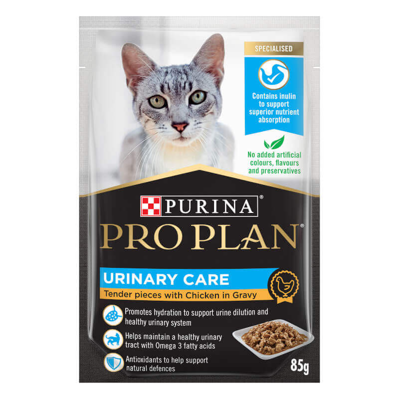 Royal Canin Cat URINARY CARE FOR CATS 4kg Singapore Pet Lovers