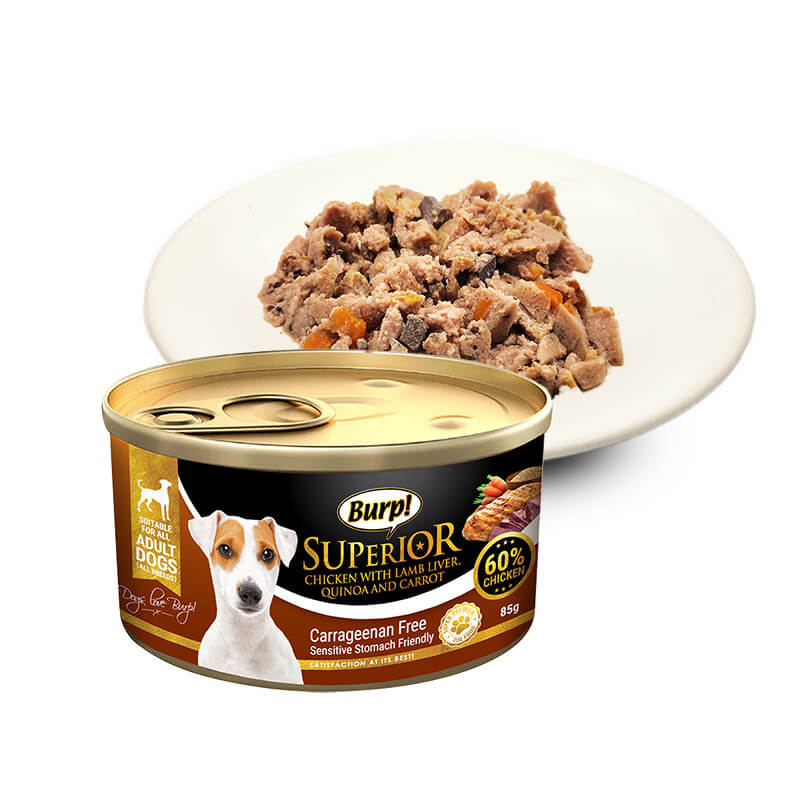 Anf puppy cheap