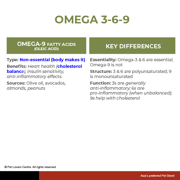 Resource Image