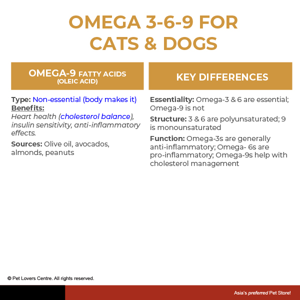 Resource Image