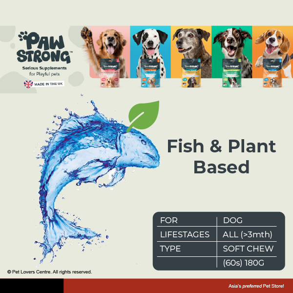 Resource Image