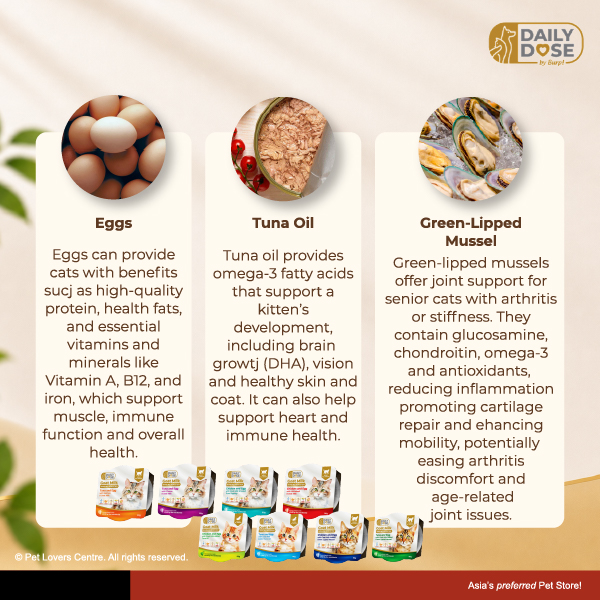 Resource Image