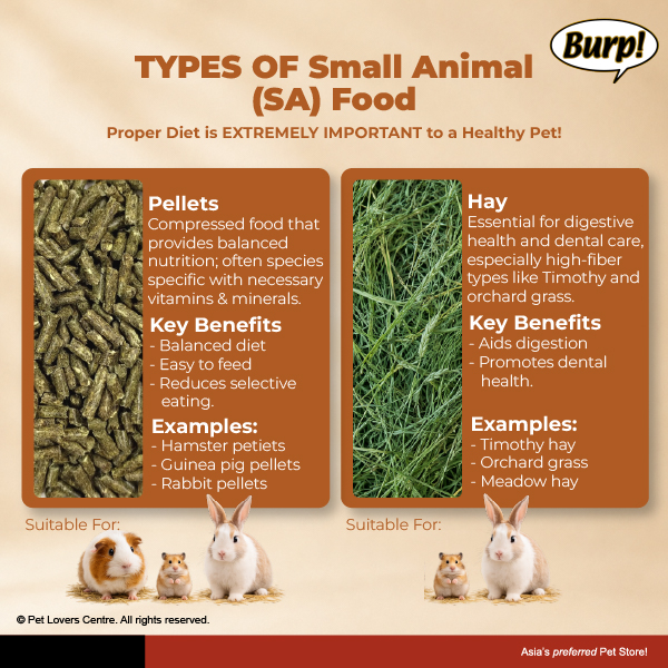 Resource Image