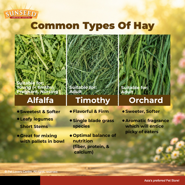 Resource Image