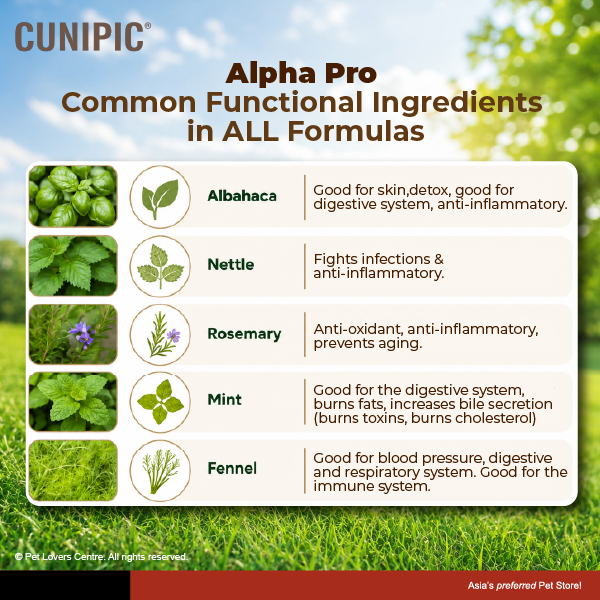 Resource Image