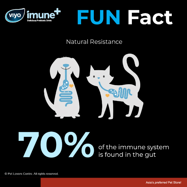 Resource Image