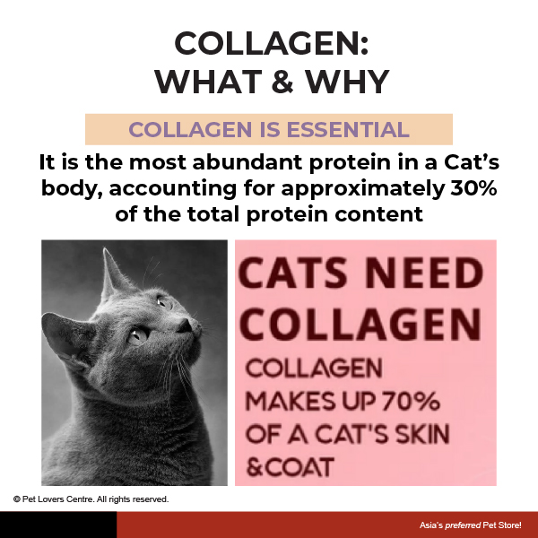 Resource Image