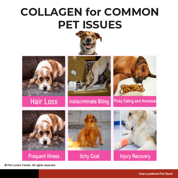 Resource Image