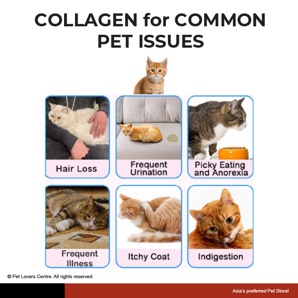Resource Image