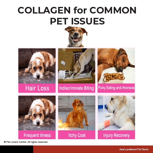 Resource Image