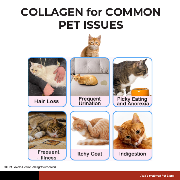 Resource Image