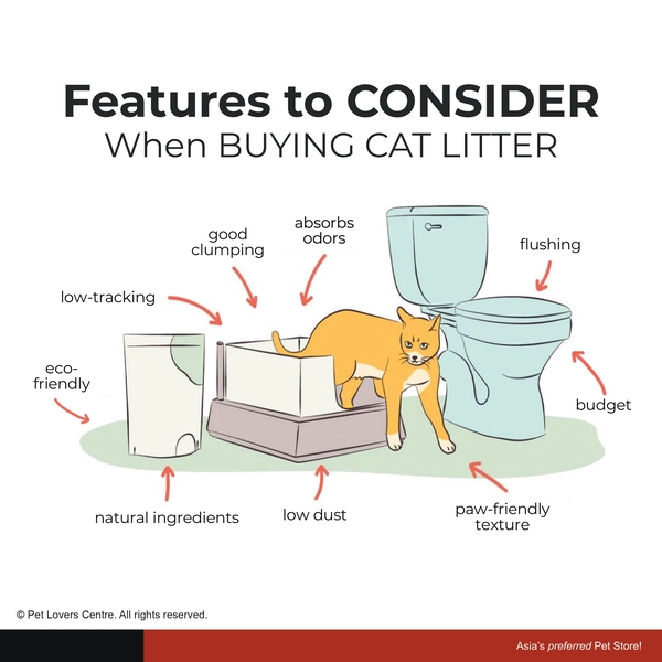 Resource Image