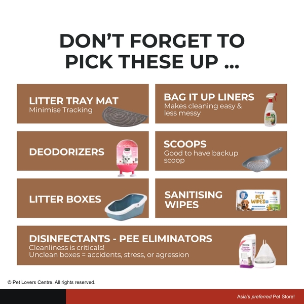 Resource Image