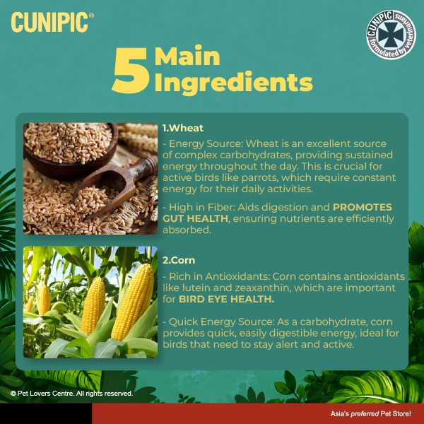 Resource Image
