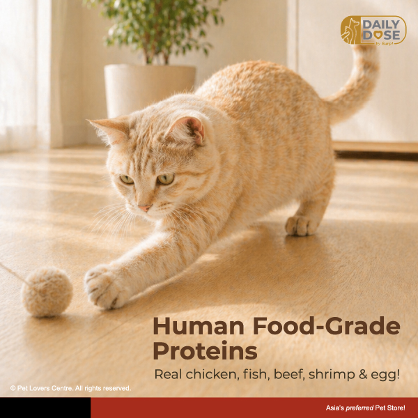 Resource Image