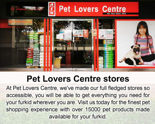 puppy store nearby