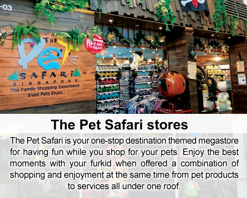 main place mall pet store