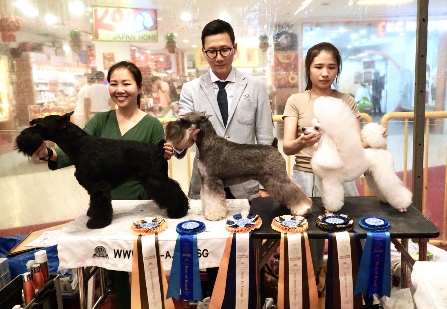 pet lovers centre grooming